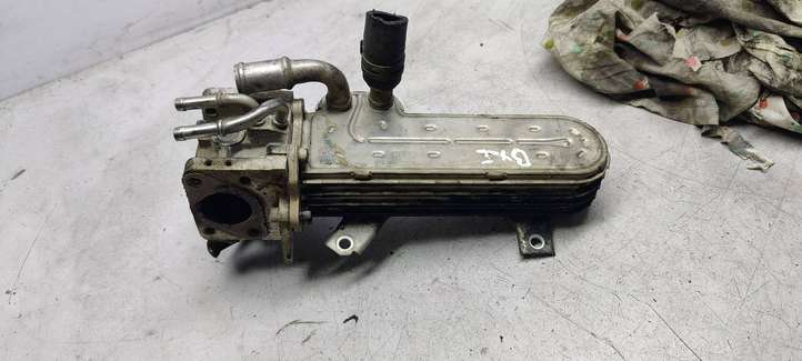 Volkswagen PASSAT B6 (2005 - 2010)  038131513ad Охладитель EGR