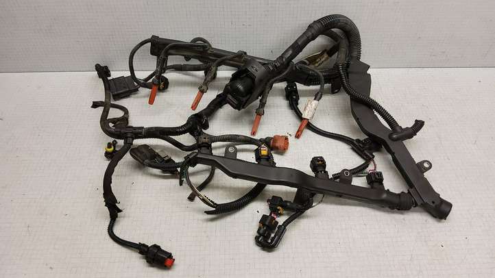 Fiat Bravo (2007 - 2014)  00552264540 Проводка двигателя