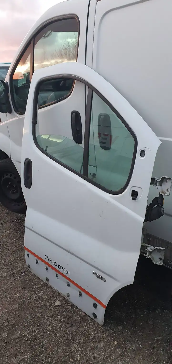 Renault Trafic II (X83) (2002 - 2014) Дверь — фото 1