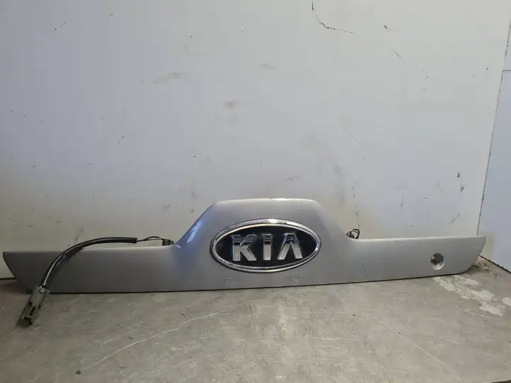 Kia Sportage (2004 - 2008) 925011E0 Подсветка номера — фото 1