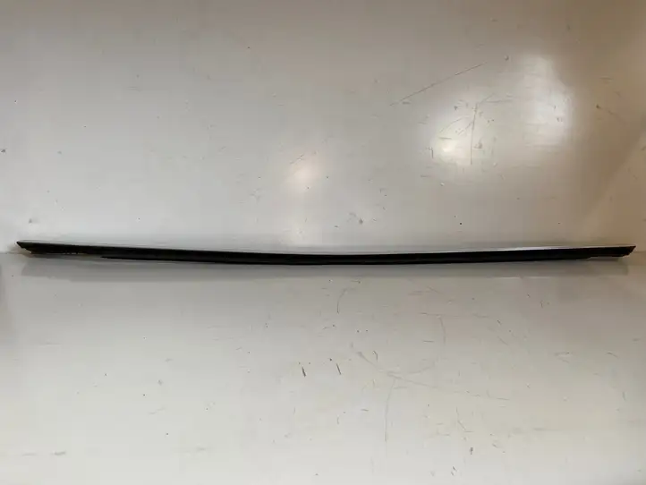 Tesla Model 3 (2017 - 2023) 108074600D Прочая отделка передней двери — фото 5