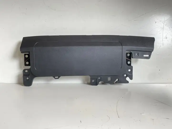 Tesla Model Y (2019 - 2024) 107782600D Коленная подушка безопасности — фото 1