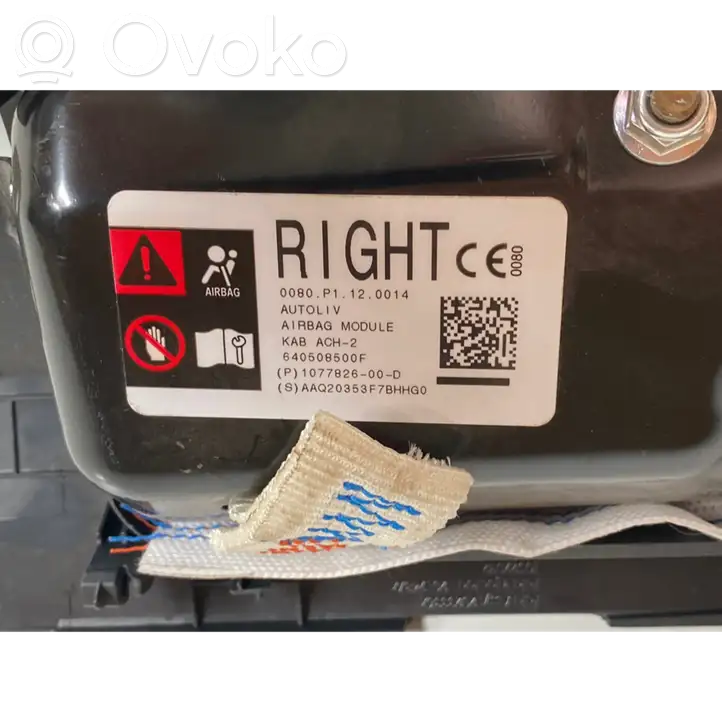 Tesla Model Y (2019 - 2024) 107782600D Коленная подушка безопасности — фото 2