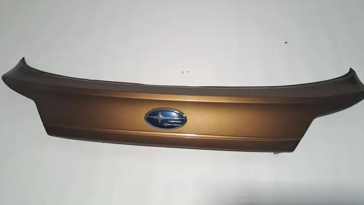 Subaru Outback (2009 - 2014) C08010025 Подсветка номера — фото 1