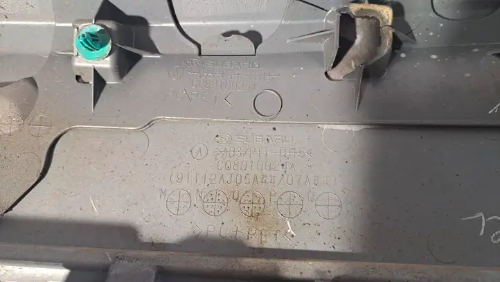 Subaru Outback (2009 - 2014) C08010025 Подсветка номера — фото 4