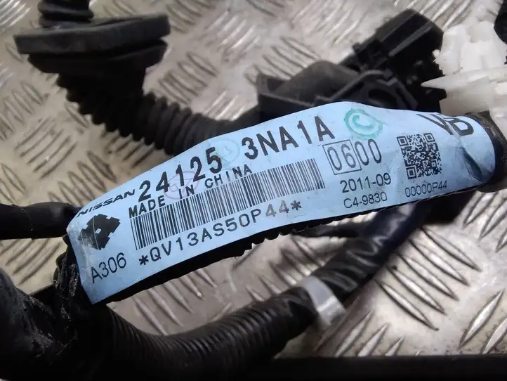 Nissan Leaf I (ZE0) (2010 - 2017) 241243NA1A Проводка передней двери — фото 2