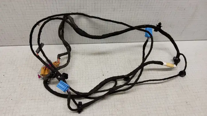 Volkswagen PASSAT B6 (2005 - 2010)  3C1971557AJ Проводка передних дверей