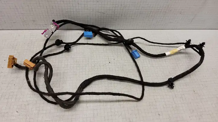 Volkswagen PASSAT B6 (2005 - 2010)  3C1971557AJ Проводка передних дверей