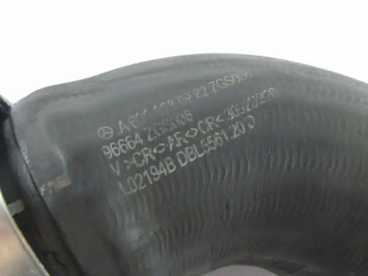 Mercedes-Benz Vito Viano W639 (2003 - 2010) Трубка подачи воздуха — фото 2