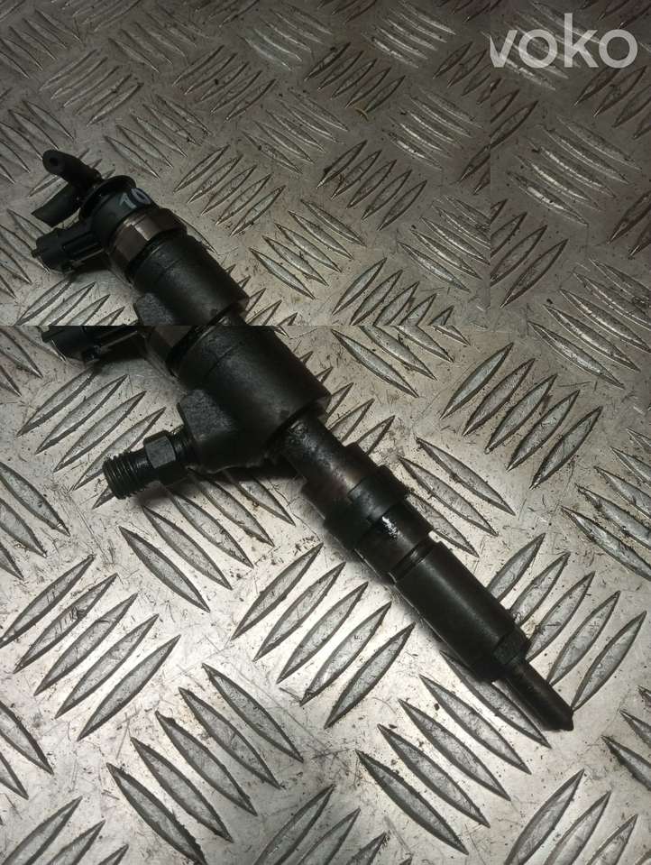 Peugeot 206 (1998 - 2012)  0445110075 Жиклер (жиклеры) (форсунка (форсунки)