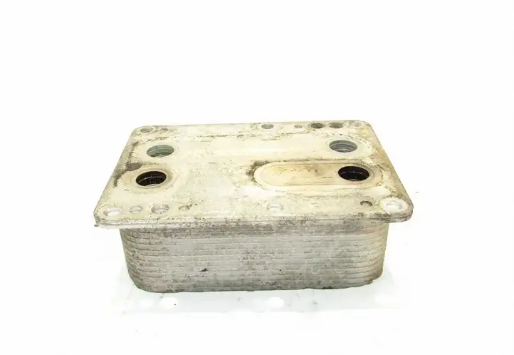 Nissan X-Trail T31 (2007 - 2014) Кронштейн масляного фильтра — фото 1