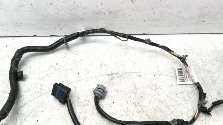Nissan Pathfinder R51 (2005 - 2012)  24126EB301 Проводка задних дверей