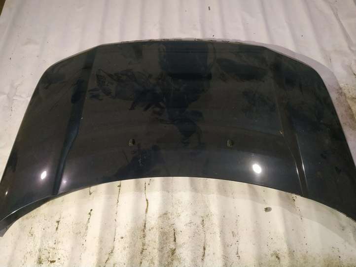 Land Rover Freelander (2006 - 2010)  melynas Капот