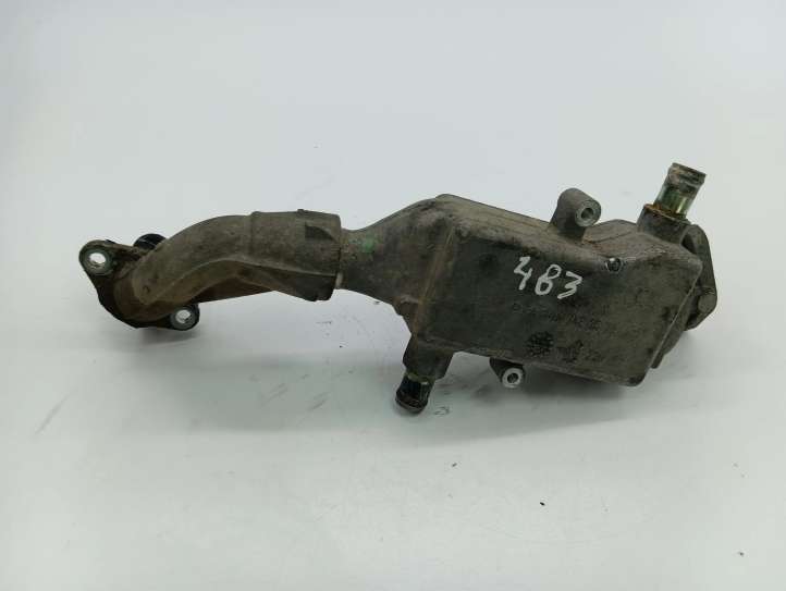 Mercedes-Benz Vito Viano W639 (2003 - 2010)  A6461420079 Охладитель EGR