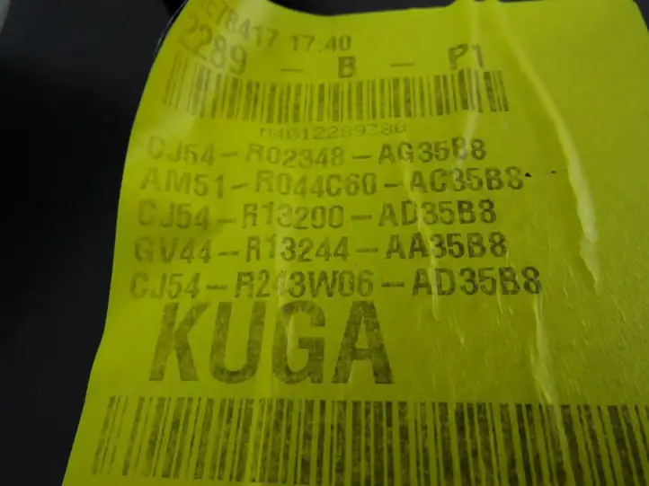 Ford Kuga II (2013 - 2019) Внутренняя отделка заднего порога — фото 4