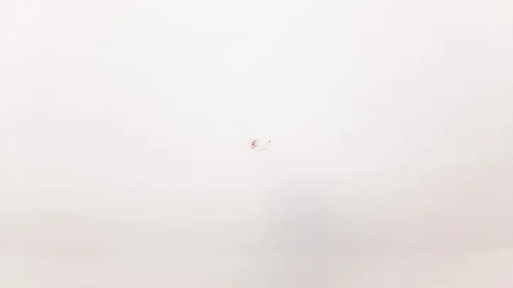Opel Corsa D (2006 - 2010) Дверь — фото 4