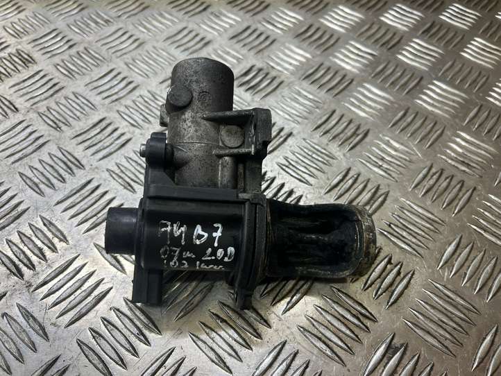 Audi A4 (2004 - 2009)   Клапан EGR