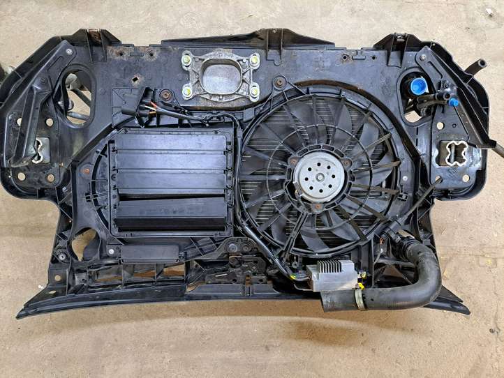 Audi A6 (2008 - 2011)  1857770007 Панель