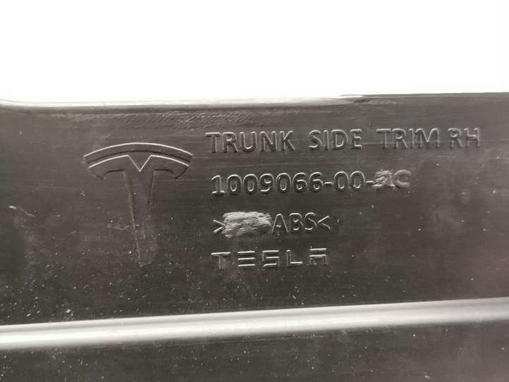 Tesla Model S (2016 - 2021)  1009066-00-C Боковая отделка (у окна)
