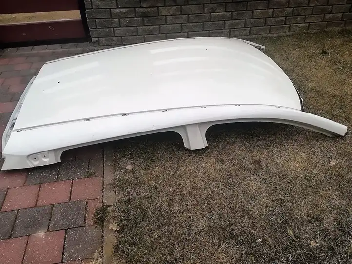 Nissan Leaf I (ZE0) (2010 - 2017) Крыша — фото 3