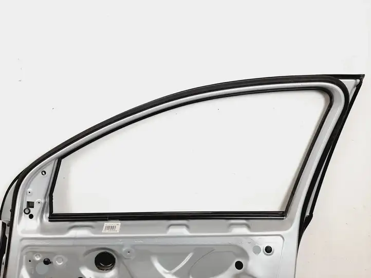 Volkswagen Golf V (2003 - 2009) Дверь — фото 5