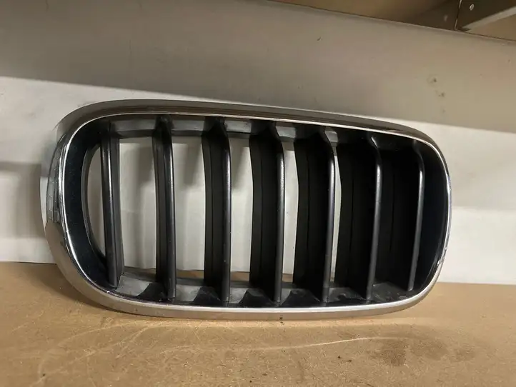 BMW X5 F15 (2013 - 2017) 7316076 Верхняя решетка радиатора — фото 1
