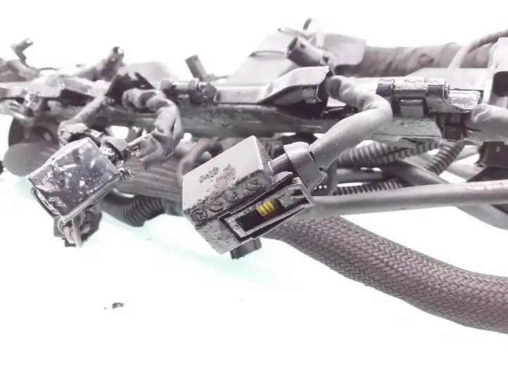 Mercedes-Benz E W211 (2002 - 2009)  A6481500433 Проводка двигателя