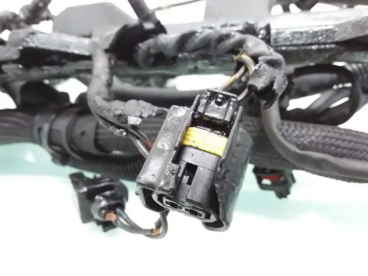 Mercedes-Benz E W211 (2002 - 2009)  A6481500433 Проводка двигателя