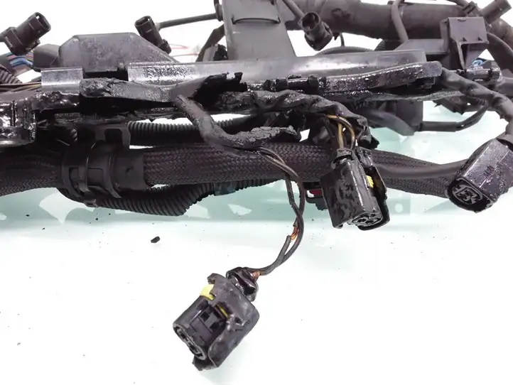 Mercedes-Benz E W211 (2002 - 2009)  A6481500433 Проводка двигателя