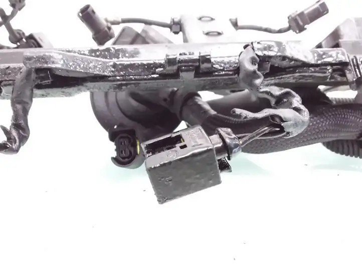 Mercedes-Benz E W211 (2002 - 2009)  A6481500433 Проводка двигателя