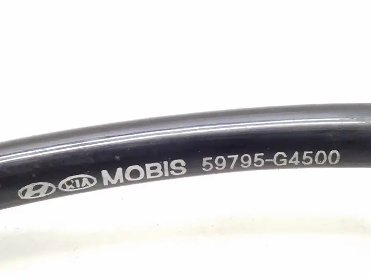 Kia Ceed (2018 - 2021) 59795G4500 Проводка заднего датчика ABS — фото 9