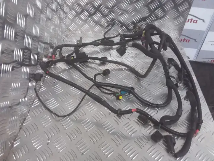 Ford Mondeo Mk III (2000 - 2007)   Проводка двигателя