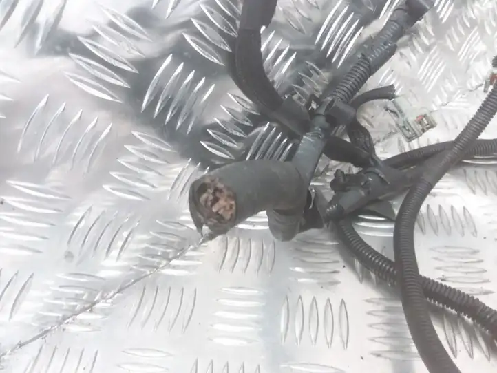 Ford Mondeo Mk III (2000 - 2007)   Проводка двигателя