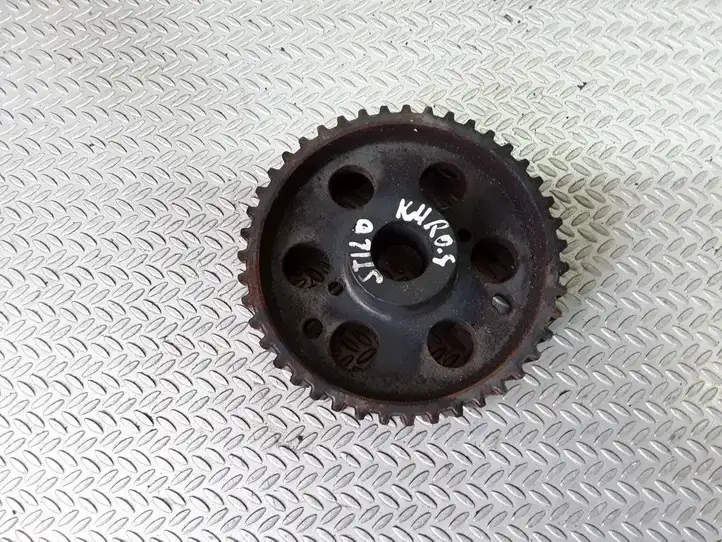 Fiat Stilo (2001 - 2010) 46517943 Шкив топливного насоса — фото 2