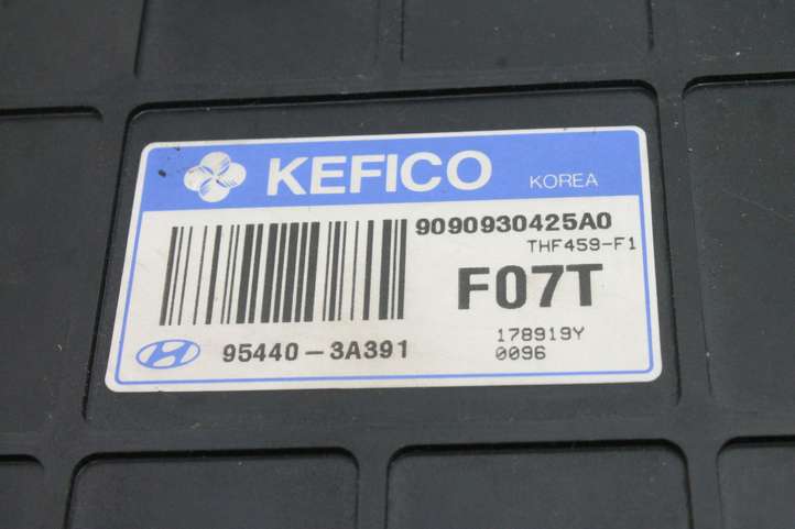 Hyundai Santa Fe (2005 - 2009)  954403A391 Блок управления коробки передач