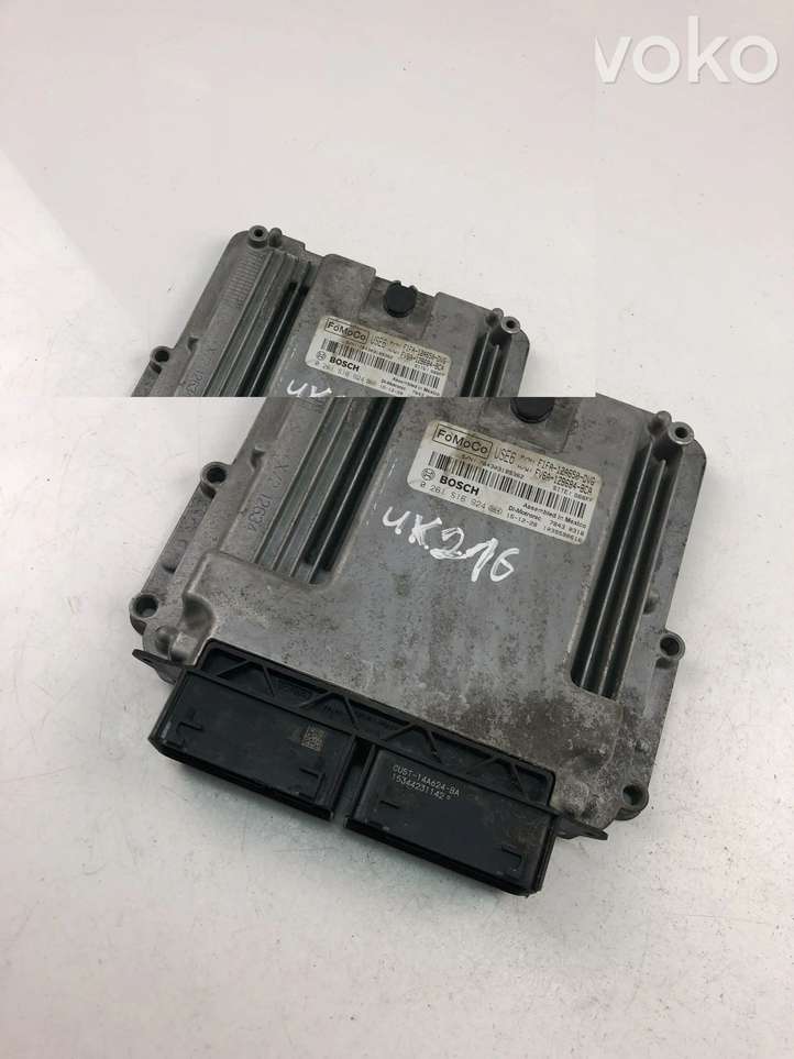 Ford Focus (2015 - 2019)  F1FA12A650DVG Блок управления двигателем ECU