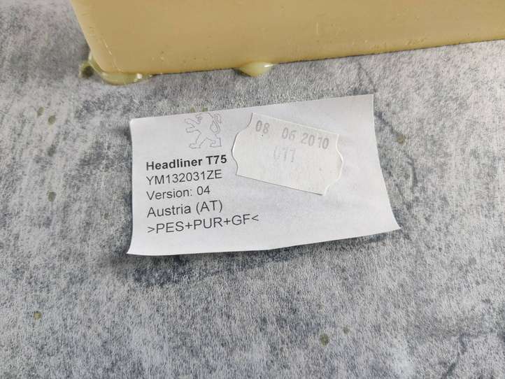 Peugeot RCZ (2010 - 2013)  YM132031ZE Потолок