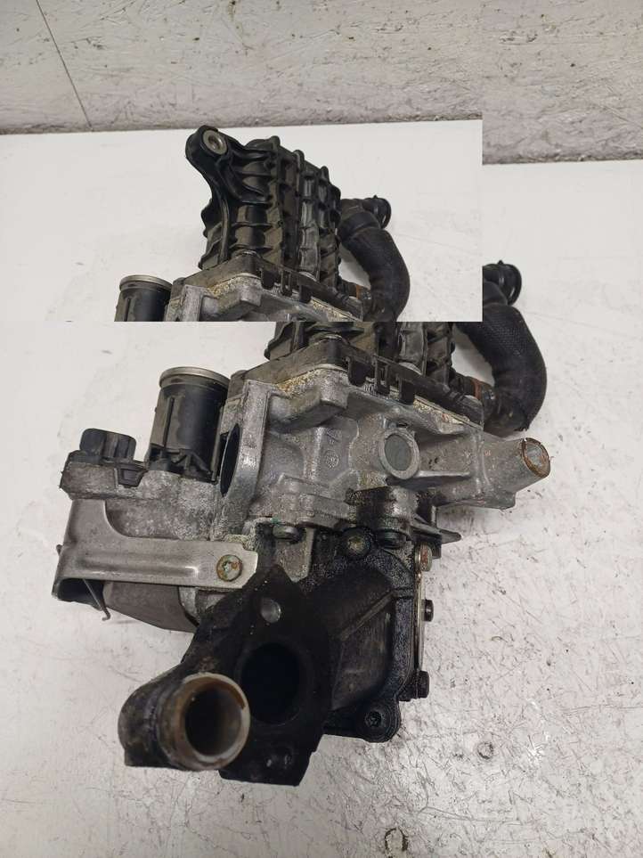 Citroen Jumpy (2016 - )  980759308001 Охладитель EGR