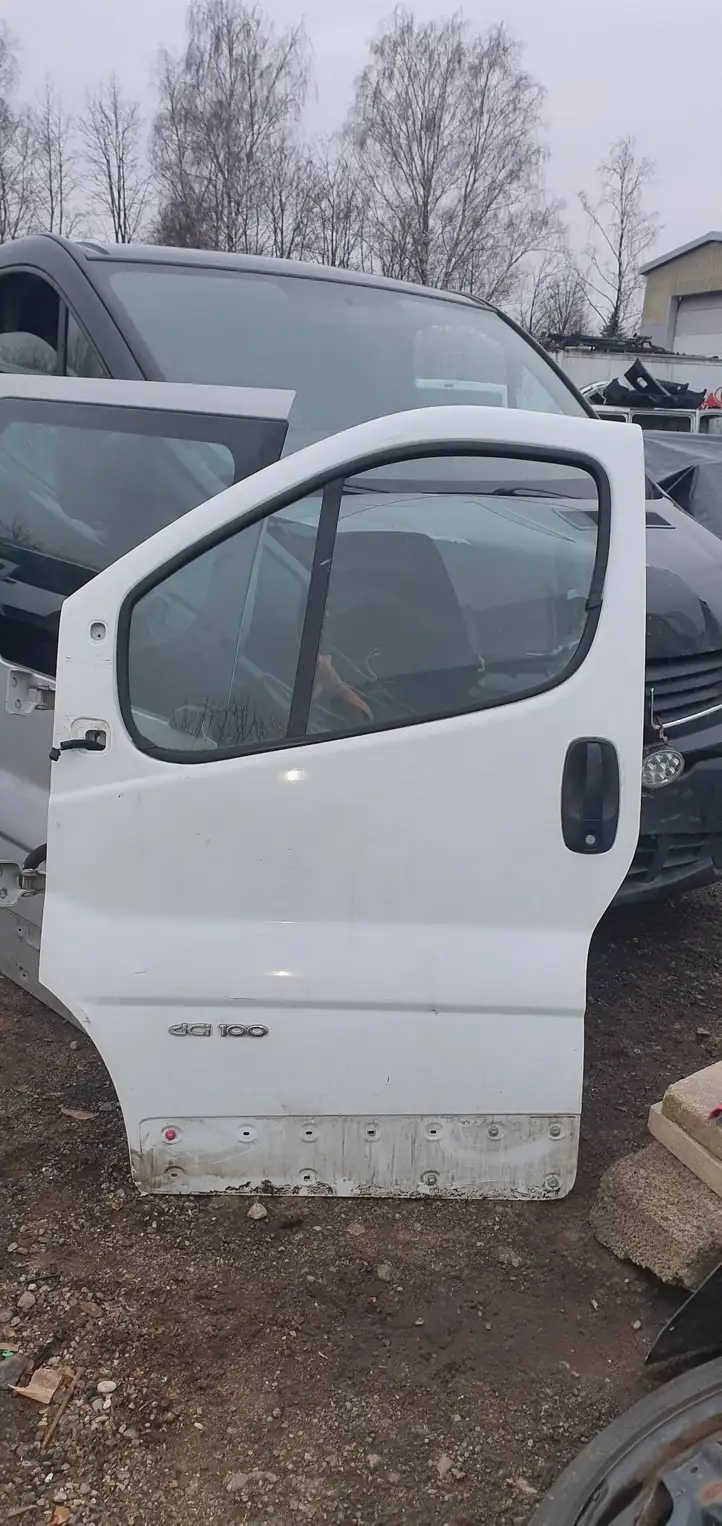 Renault Trafic II (X83) (2002 - 2014) Дверь — фото 1