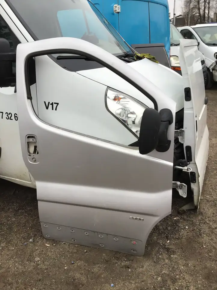 Opel Vivaro (2006 - 2014) Дверь — фото 1