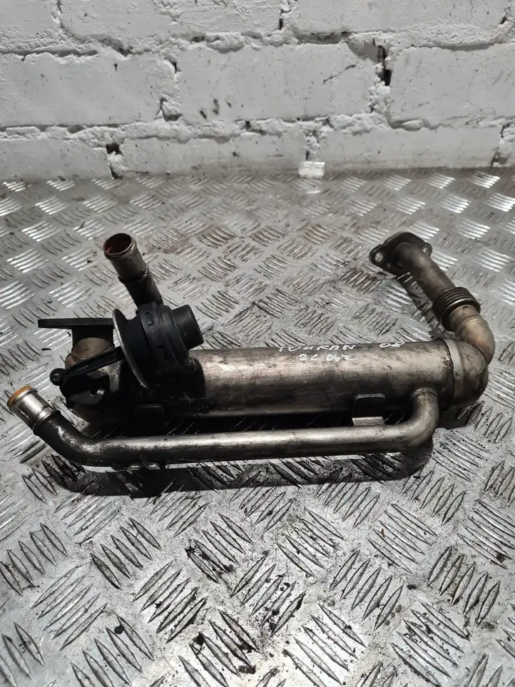 Volkswagen Touran I (2003 - 2010) 03G131512S Охладитель клапана EGR — фото 1