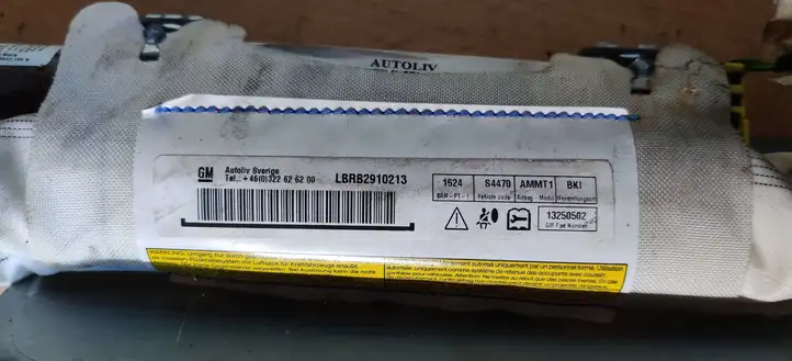 Opel Meriva B (2010 - 2014) LBRB2910213 Боковая подушка безопасности шторка — фото 2