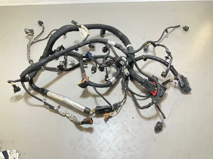 Land Rover Range Rover Sport (2013 - 2017)  CK5Q9H589AE Проводка двигателя