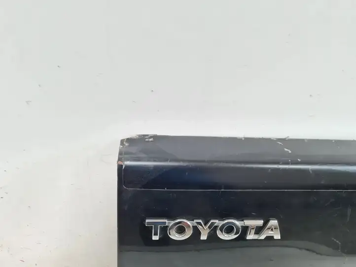 Toyota Hilux (AN10, AN20, AN30) (2008 - 2011) Крышка багажника — фото 10
