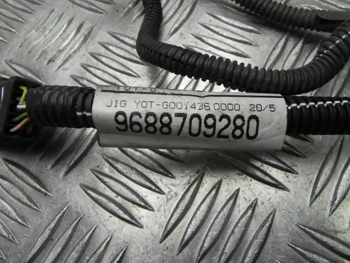 Peugeot 5008 (2009 - 2013) 9688709280 Прочая электропроводка — фото 2