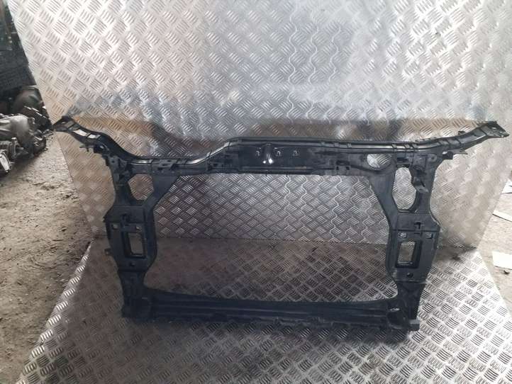 Audi Q5 (2008 - 2012)  8R0805594 Панель