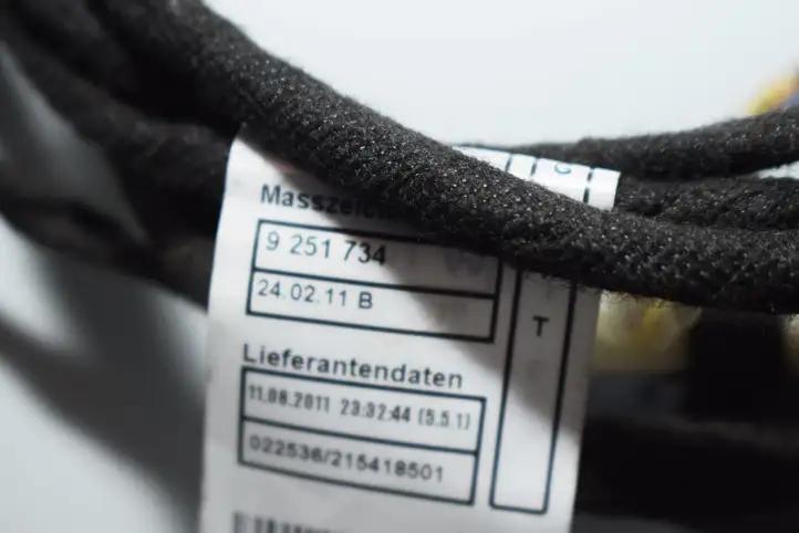 BMW 1 F20 F21 (2011 - 2019) 9251734 Проводка задней двери — фото 4