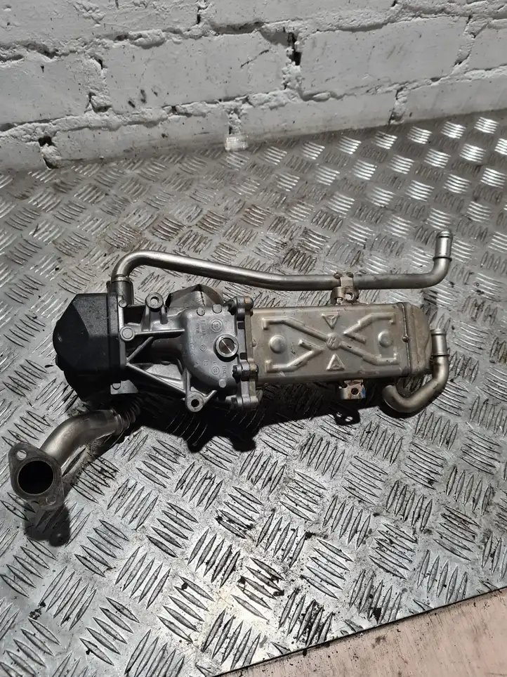 Volkswagen Polo V 6R (2009 - 2015) 03L131512 Охладитель клапана EGR — фото 2