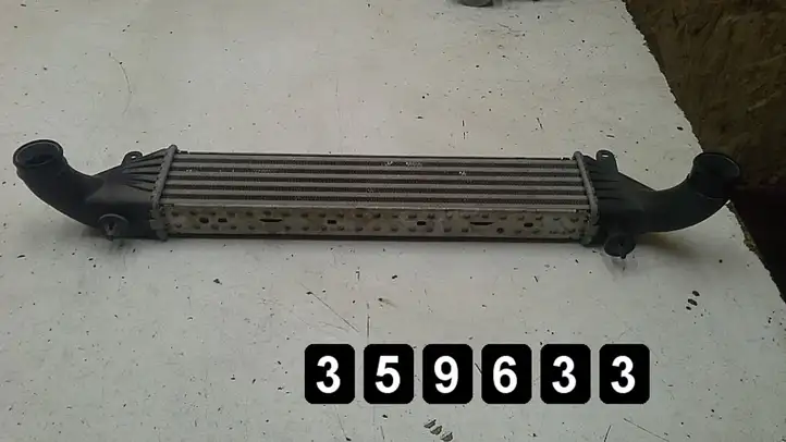 Mercedes-Benz SLK R170 (1996 - 2004) 2000 compresor 1705000400 Радиатор охлаждающей жидкости двигателя — фото 1