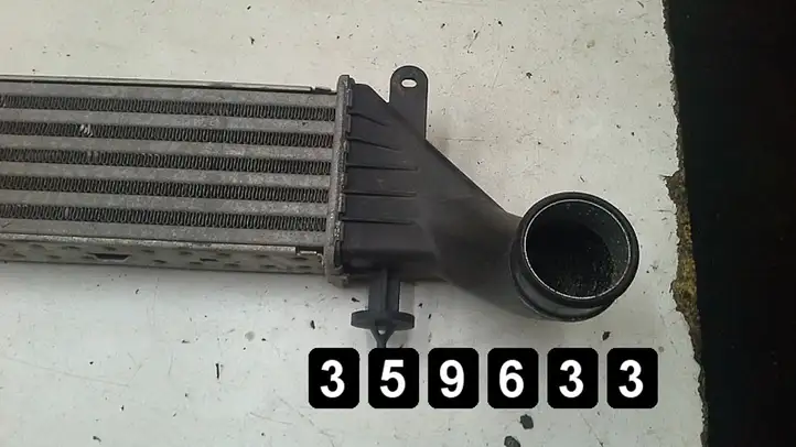 Mercedes-Benz SLK R170 (1996 - 2004) 2000 compresor 1705000400 Радиатор охлаждающей жидкости двигателя — фото 3